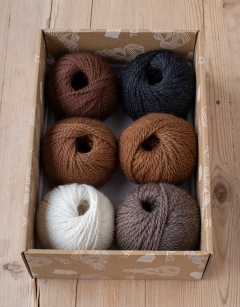 Woodland Discovery Box