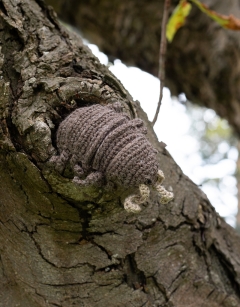Algernon the Woodlouse