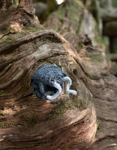 Woodlouse Hook Case