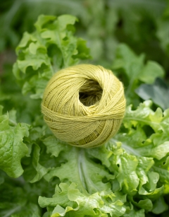 TOFT Lime FINE yarn 50g