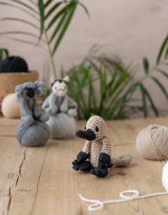 Down Under Discovery Box