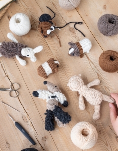 Grasslands Discovery Box