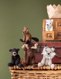 Rockies Discovery Box