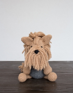 Dorothy the Yorkshire Terrier
