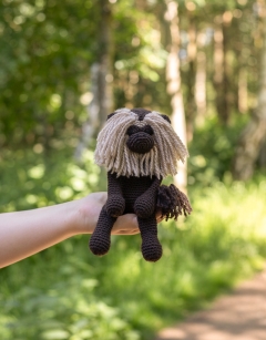 Yvonne the Lion Tailed Macaque