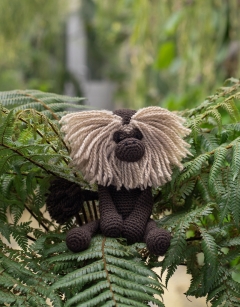 Yvonne the Lion Tailed Macaque