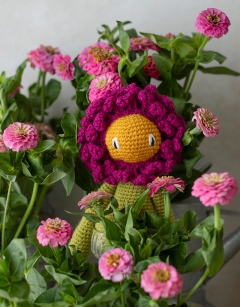 Zinnia Kit