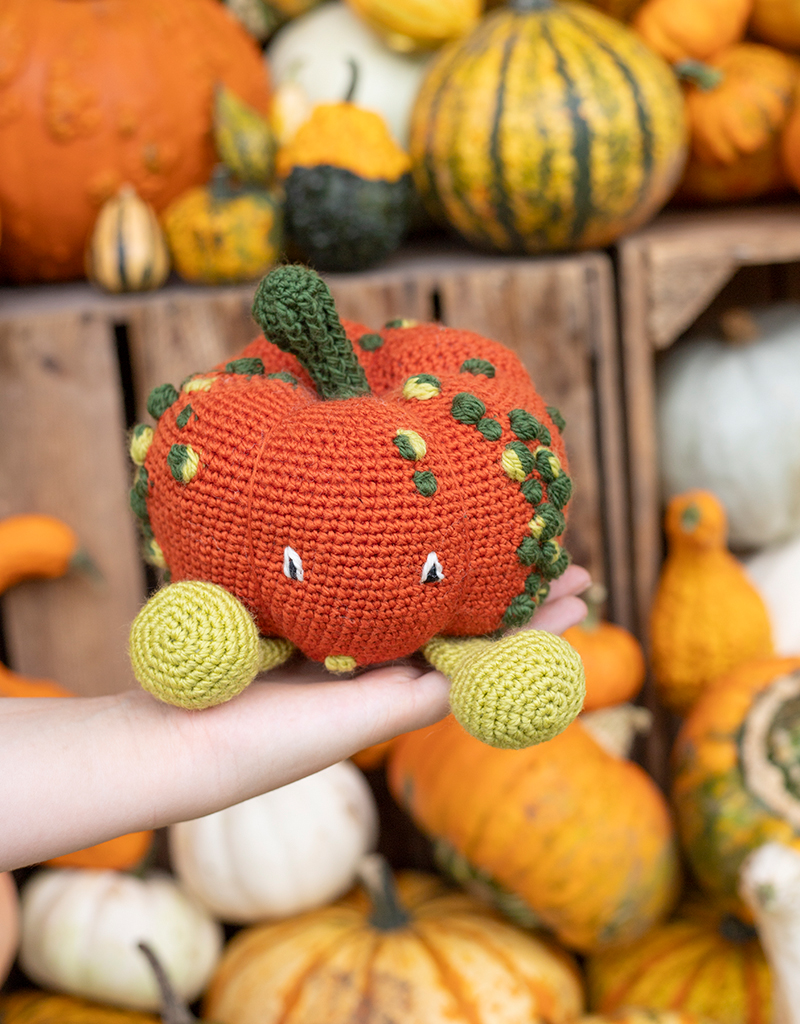 Crochet Your Own Pumpkin Vegetable Kit | TOFT