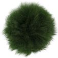 Green Pom