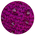 Magenta Beads