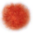 Orange Pom