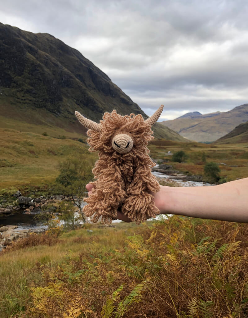 Morag the Highland Cow