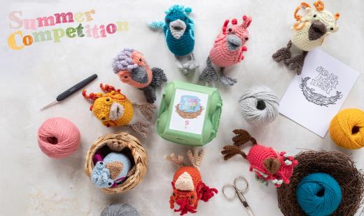TOFT Summer Competition 2025 | Bert the Fledgling Phoenix | #edsbestnest